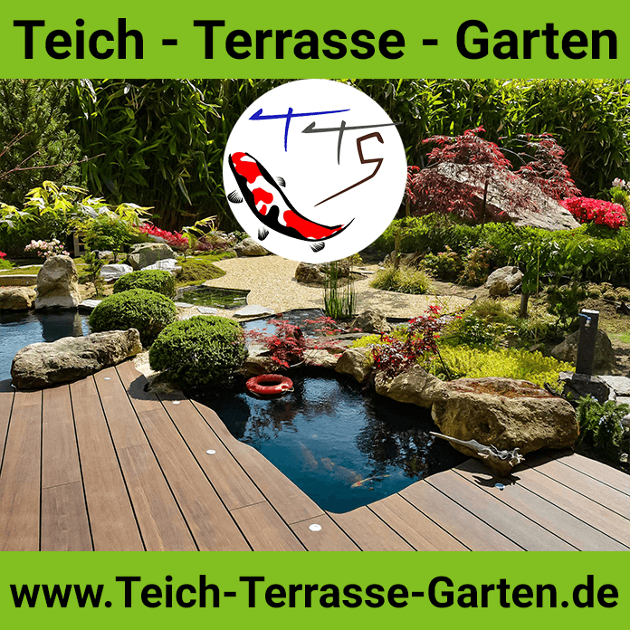 Teich Terrasse Garten TeichTerrasseGarten Rhein Main