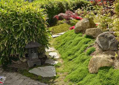 Garten im japanischen Stil / TTG Rhein Main