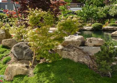 Garten im japanischen Stil